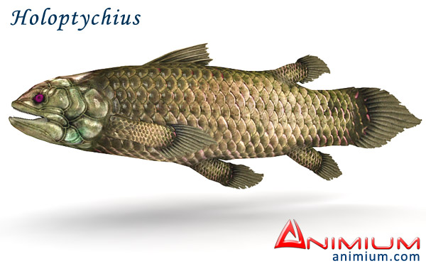 Holoptychius 3d model