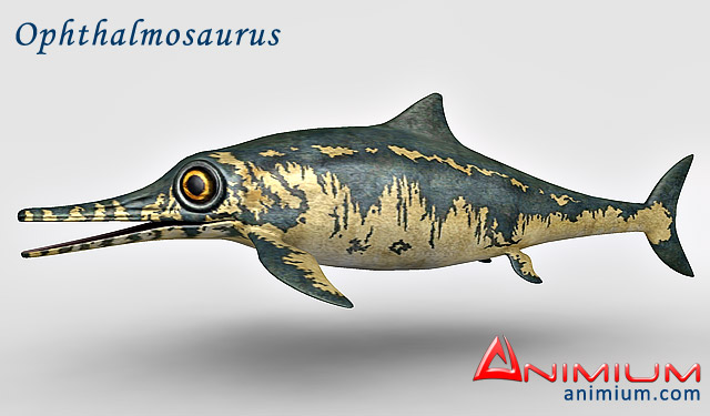 Ophthalmosaurus 3d model