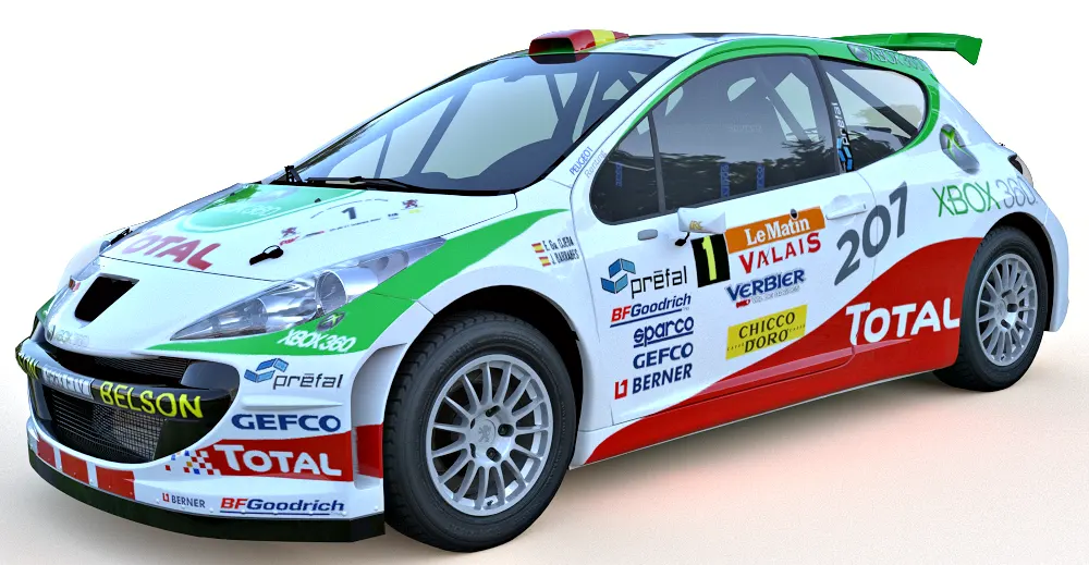 Peugeot 207 Rally car 3d model