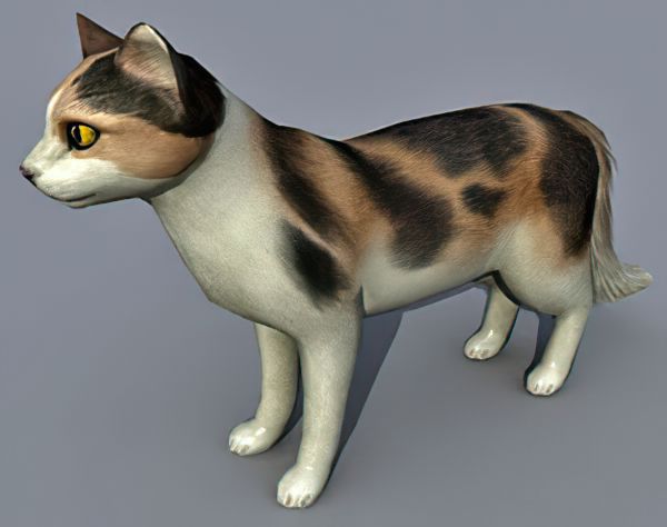 Cat 3d model