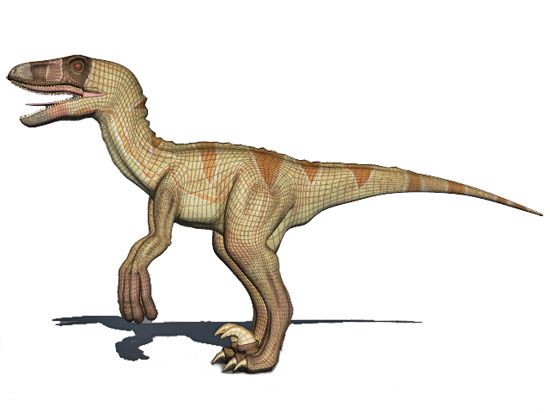 Dromaeosaurus 3d model
