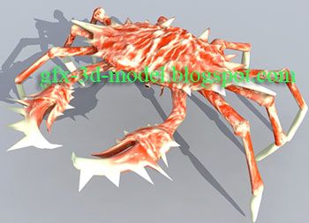 Crab – animal model