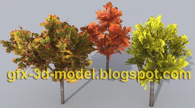 Maple Tree Model