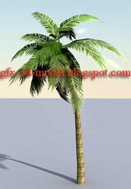 Palm tree model