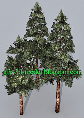 Pine Tree model