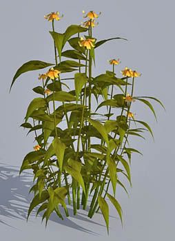 Plant 02