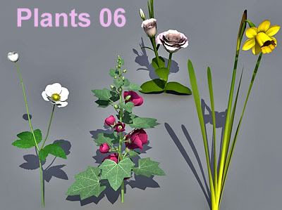Plant Collection 06