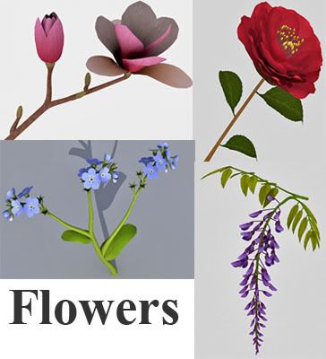 Plants Collection -08