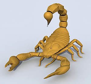 Scorpion