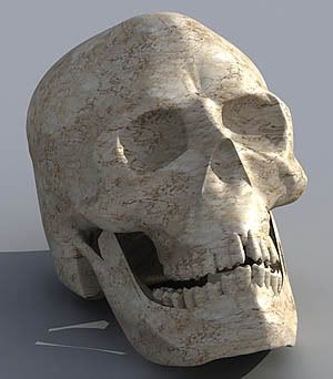 Skull