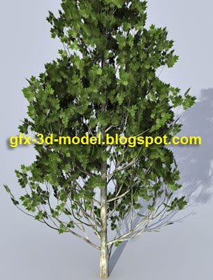 Realistic Tree model
