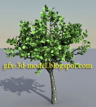 Tree 3d model