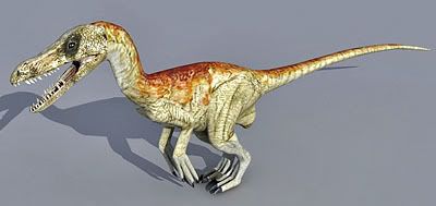Velociraptor 3d model