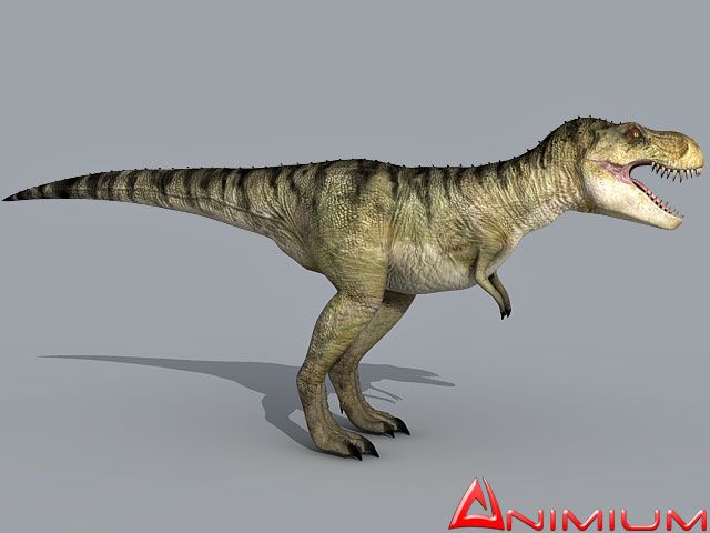 Tyrannosaurus Rex 3d model