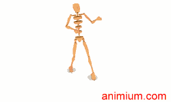 Spin back kick motion capture file