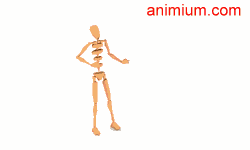 Warm up motion capture