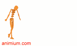 Drunkard’s walk motion capture