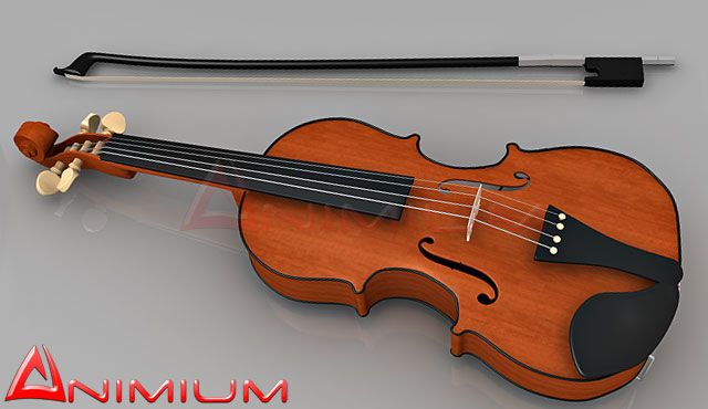 Violin