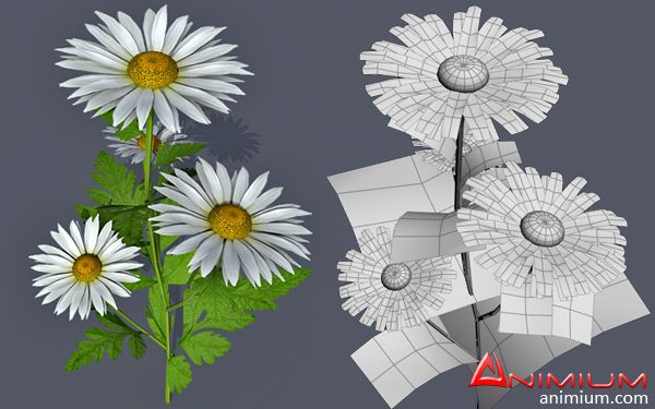 Flower 3d model