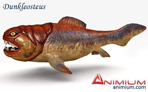 Dunkleosteus 3d model