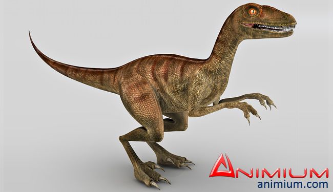 velociraptor in 3d
