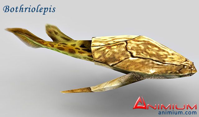 Bothriolepis 3d model