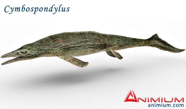Cymbospondylus 3d model