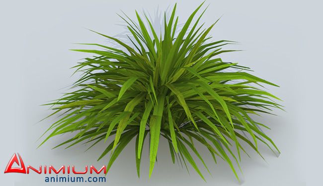 Grass 3d model