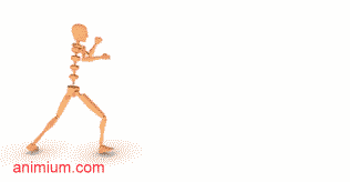 Spin Back Kick Motion Capture