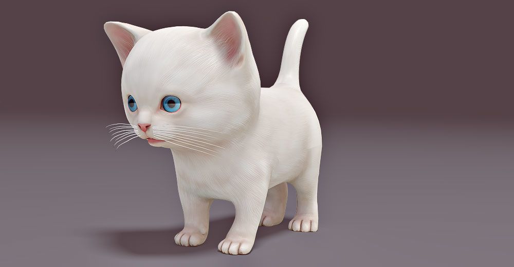 Kitten 3d model