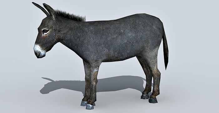 Donkey 3d model