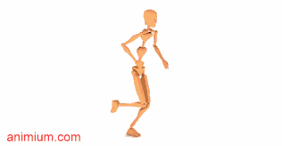 Run Cycle Motion Capture