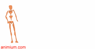 Ball passing dive motion files