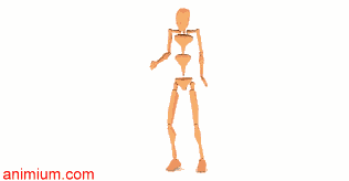 Catch Throw motion capture