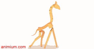 CAT Rig Giraffe