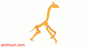 CAT Rig Giraffe Gallop