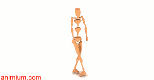 Ballet Dance2 motion capture