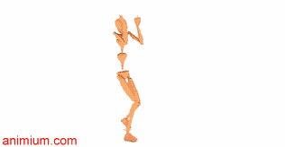 Boxer Motion Capture