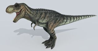 Tyrannosaurus Rex Skeleton - tyrannosaurus rex skeleton model roblox