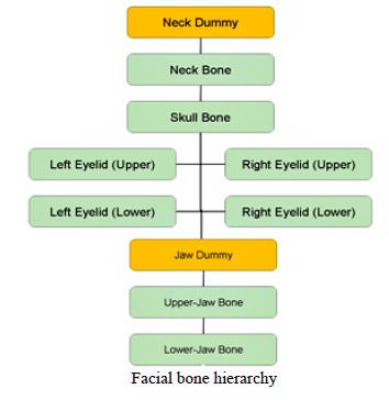 facial-bone-rig