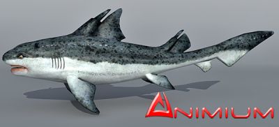 Hybodus zuodengensis 3d model