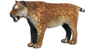 Saber Toothed Tiger 3d model