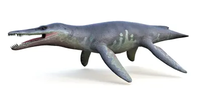 Kronosaurus 3d model