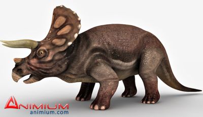 triceratops 3d model