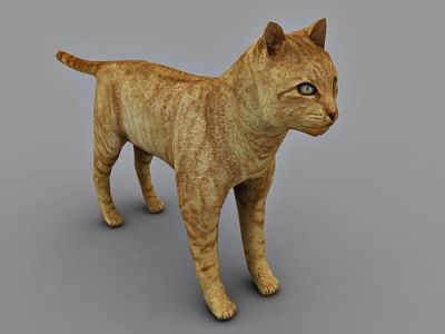 cat free 3d model