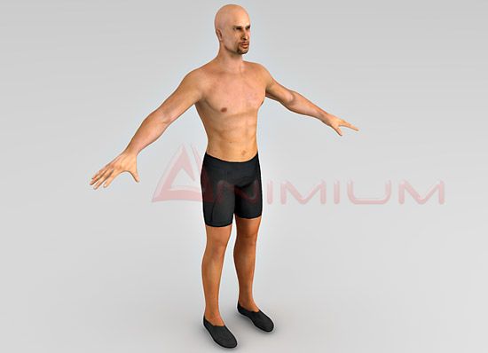 Human male 3d model