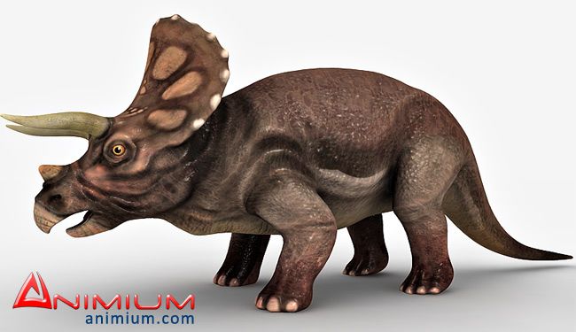 Triceratops 3d model