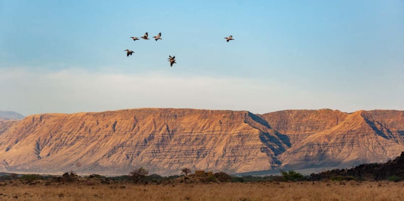 forms the other wall of the rift valley.