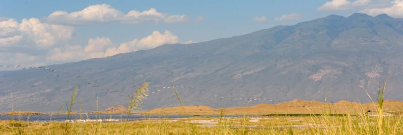 Lake Natron is in the Eastern Great Rift valley.