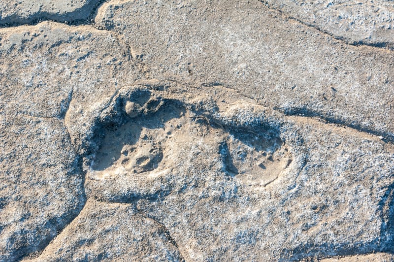 Set in stone, this footprint was left tens of thousands of years ago.